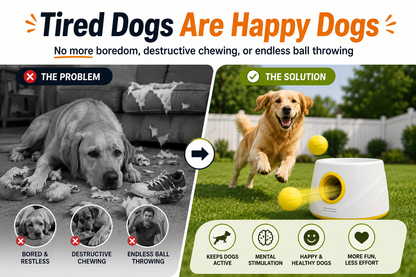 FetchMaster™ Automatic Dog Ball Launcher