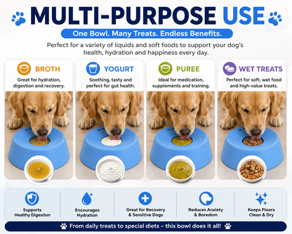 PawLick™ Anti-Choking Slow Feeder Dog Bowl