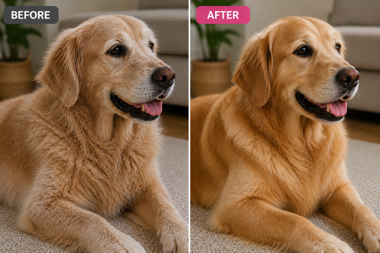 Liquid Collagen Drops for Dogs & Cats – Suitable for All Breeds & Ages