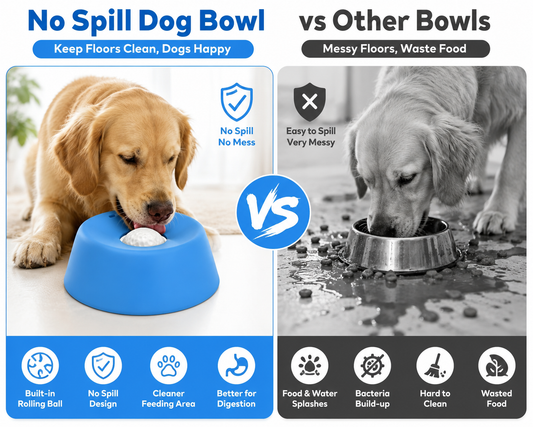 PawLick™ Anti-Choking Slow Feeder Dog Bowl