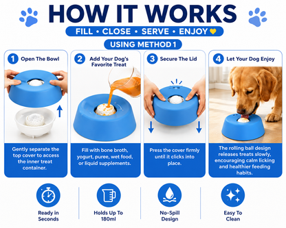 PawLick™ Anti-Choking Slow Feeder Dog Bowl