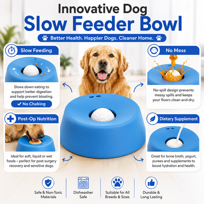 PawLick™ Anti-Choking Slow Feeder Dog Bowl